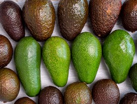 Fruit Services Collective verhoogt opslagdichtheid met speciaal pallet shuttlesysteem